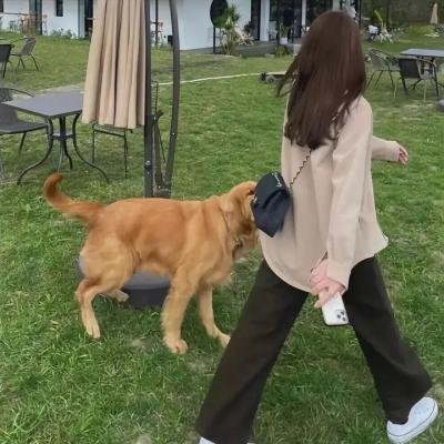 土地之光